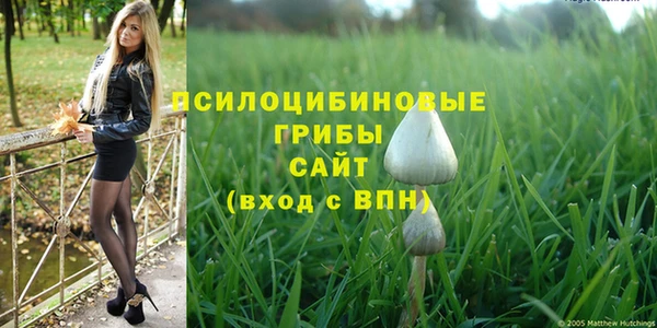 спайс Михайловск