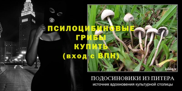 мескалин Михайлов