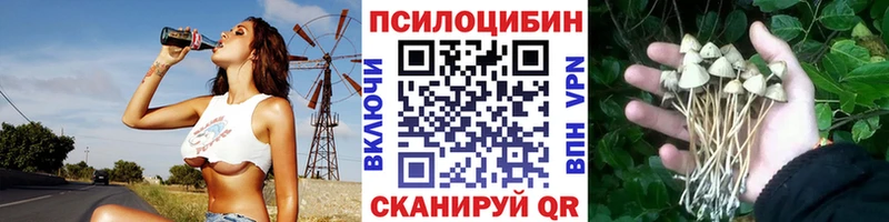 маркетплейс телеграм  как найти наркотики  Комсомольск-на-Амуре  Псилоцибиновые грибы MAGIC MUSHROOMS 