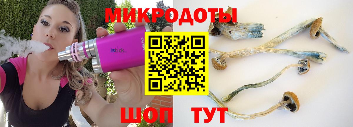 Комсомольск-на-Амуре  Галлюциногенные грибы Psilocybine cubensis  Вход с VPN 